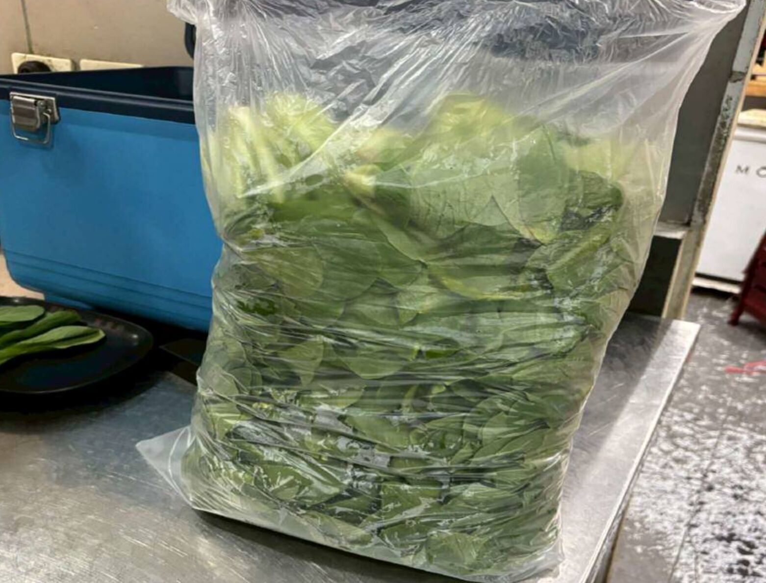 火鍋料食安出包! 士林富樂、辛殿、鍋爸、西門町雅香全上榜 火鍋料食安出包! 士林富樂、辛殿、鍋爸、西門町雅香全上榜