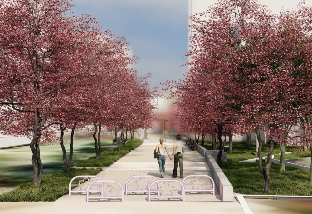 新店安成公園改善工程 劉哲彰爭取1280萬打造櫻花打卡新據點 4 248251211a10