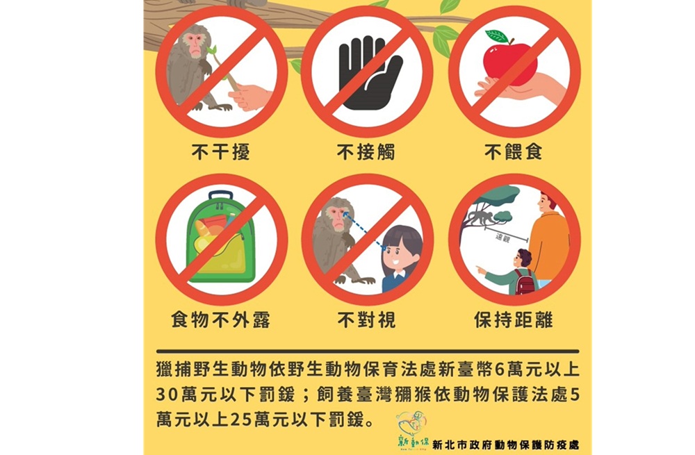 世界猴子日 新北動保處籲落實4不1保5大原則 4 cnews204251214a02
