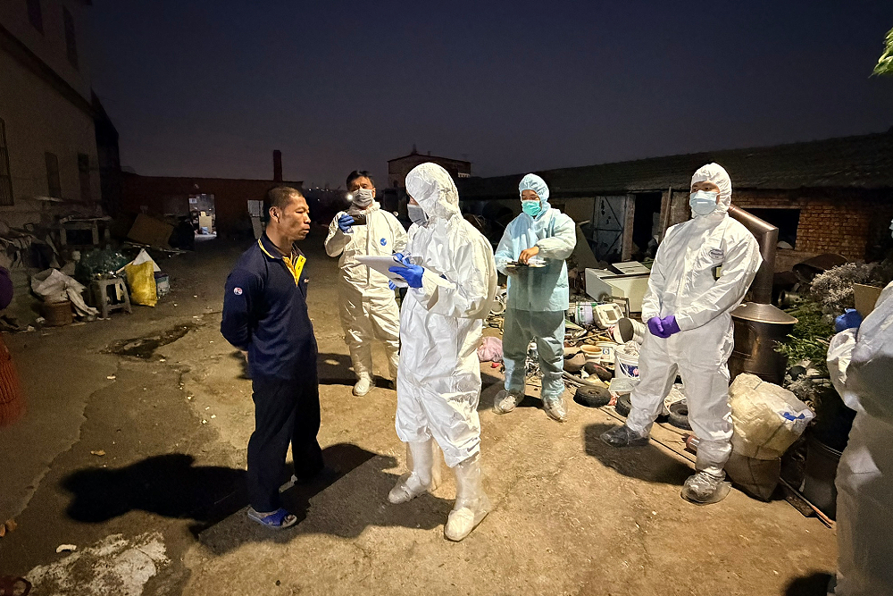 台中養豬場違法廚餘養豬　農業局：從重處百萬罰鍰