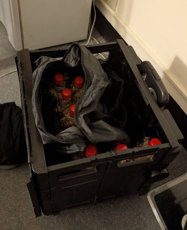 原計畫聖誕節發動攻擊　張文提早行動原因曝光 13