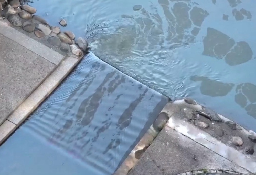 淡水溪流遭排污交通現死角 陳偉杰促設「烽火臺系統」增設行人穿越道 淡水溪流遭排污交通現死角 陳偉杰促設「烽火臺系統」增設行人穿越道