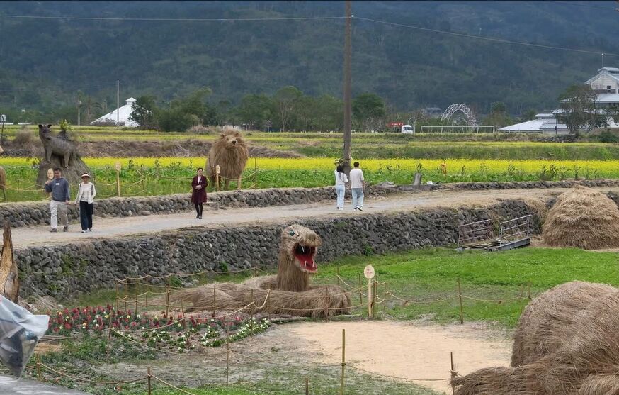 【有影】花蓮打造全台有機農業首都　順應山海走出永續新路 15