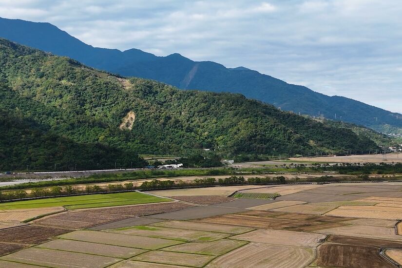 【有影】花蓮打造全台有機農業首都　順應山海走出永續新路 9