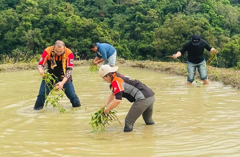【有影】花蓮打造全台有機農業首都　順應山海走出永續新路 13