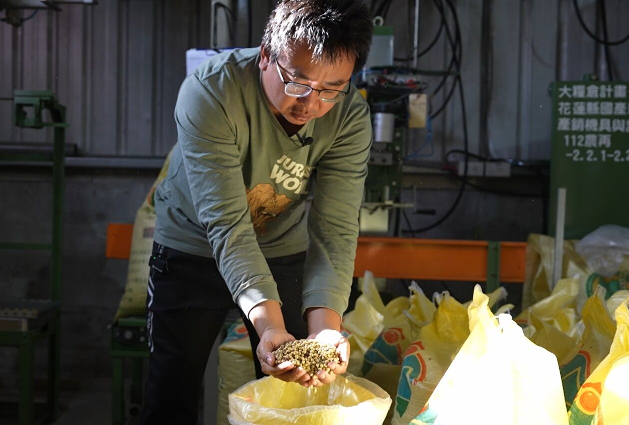 【有影】山海之間孕育有機力量　花蓮農人以時間與信念走出永續農業之路 35