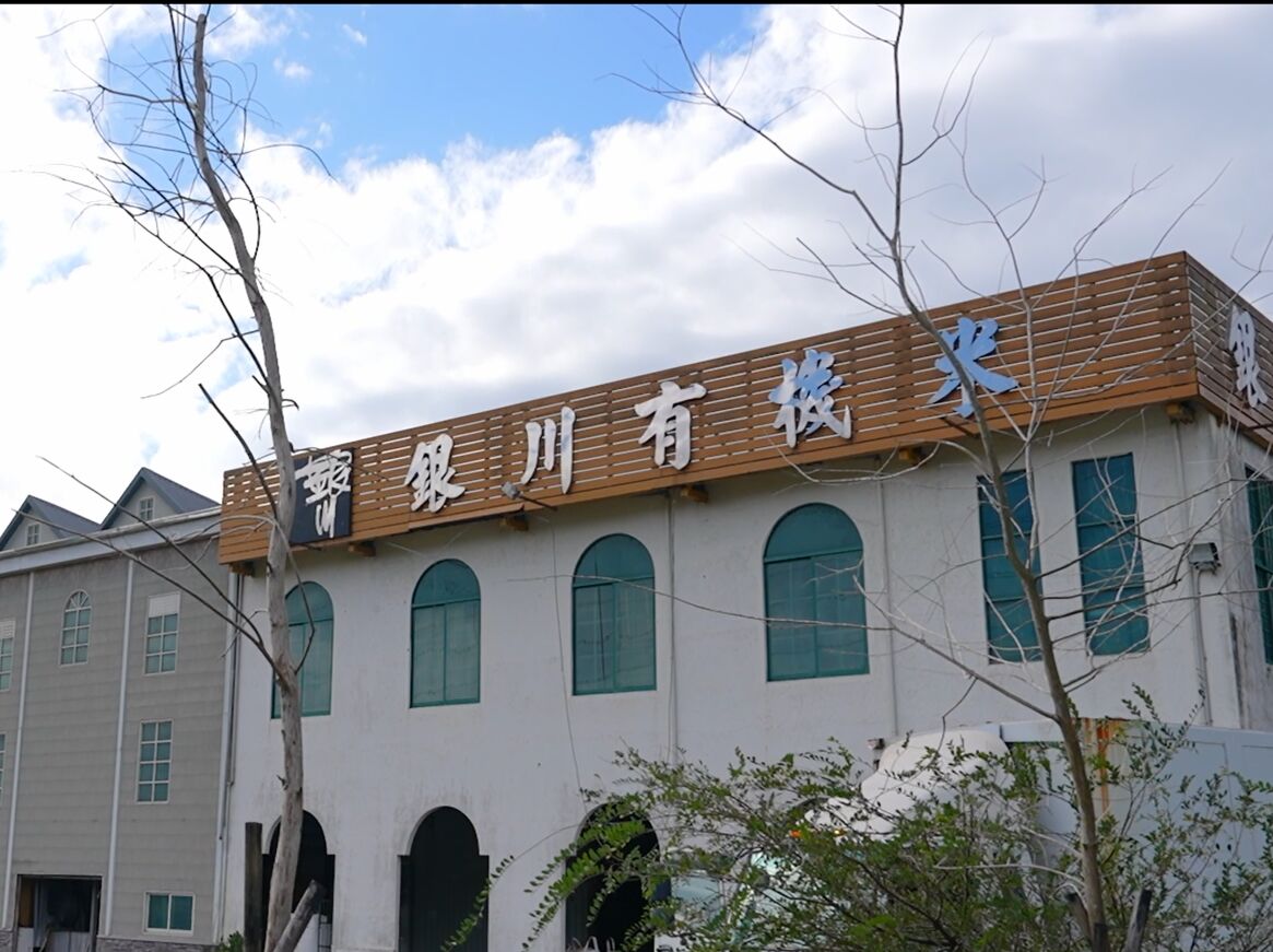 【有影】山海之間孕育有機力量　花蓮農人以時間與信念走出永續農業之路 37