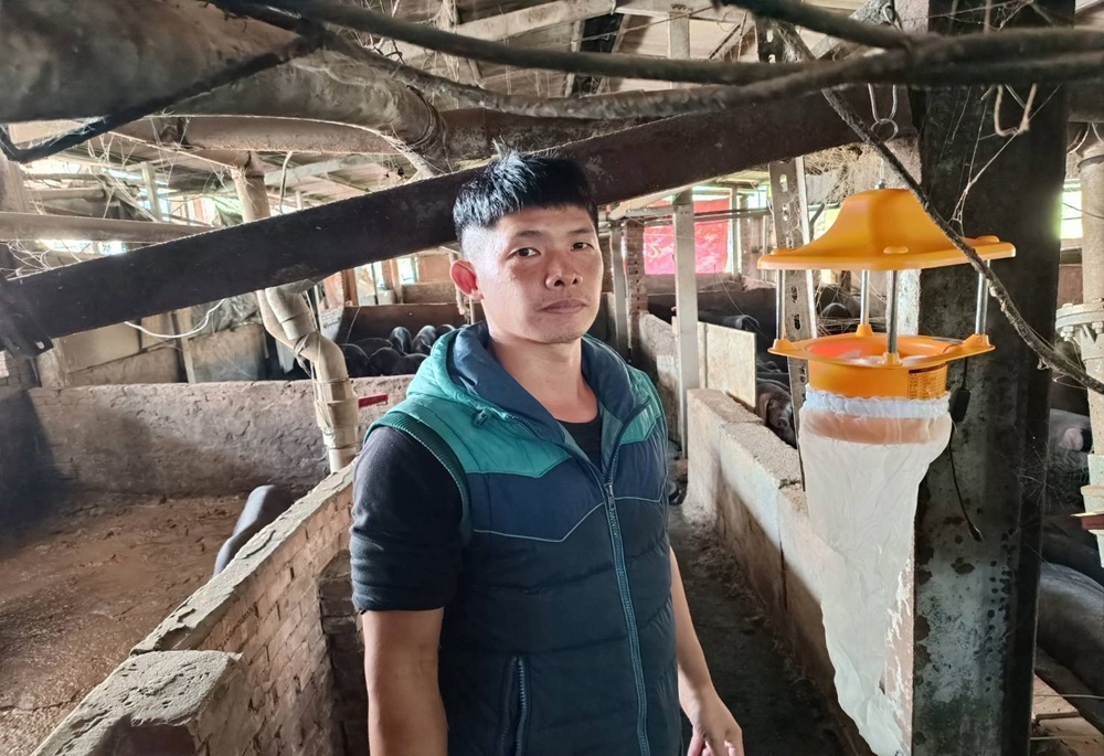 藍光捕蟲燈、QR實名制、人車追蹤 新北動保處3道防線成功阻疫 10 248260103a02