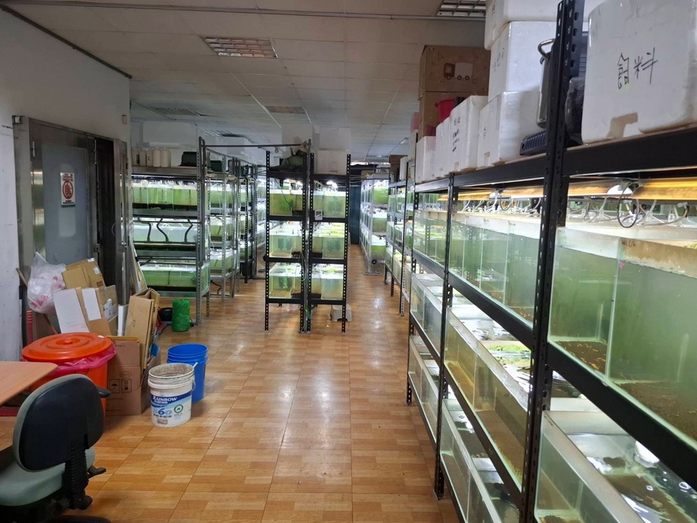 完成13場外銷水生動物場檢驗 新北市助台灣魚走出國門 18 cnews204260108a03