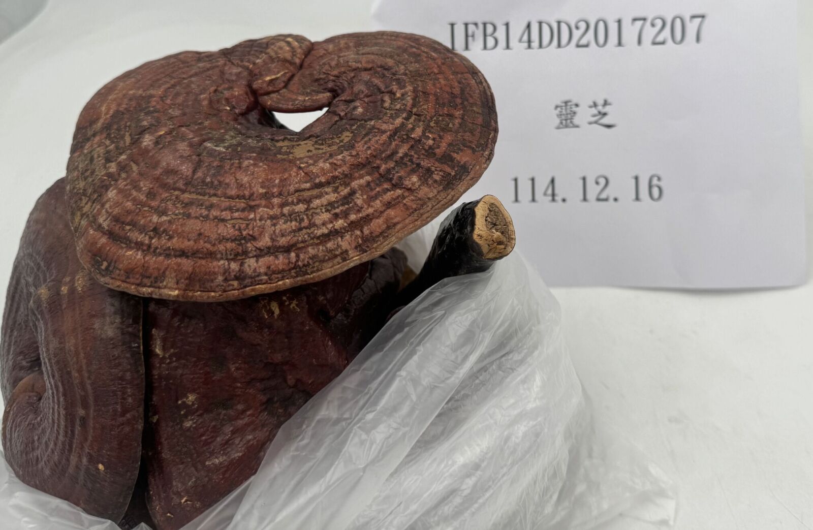 食不安！4424公斤印尼「木薯餅」違添甜味劑 中國「靈芝」也爆農藥 17