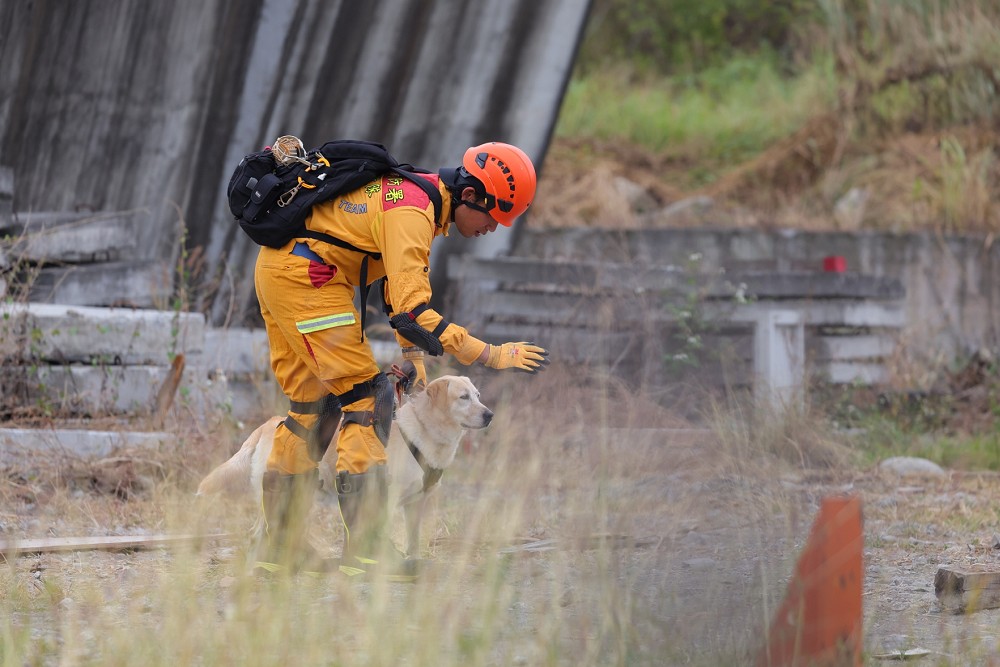 【台灣護國犬2-2】透露最好及最難訓練的搜救犬種　領犬員：從小帶到大會偏心給多點零食 17