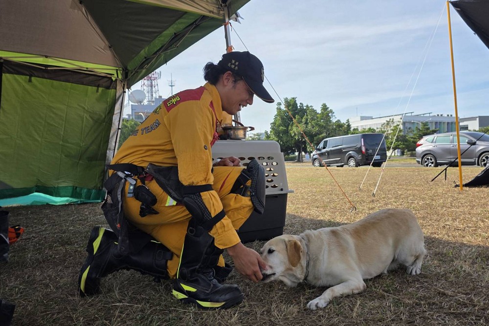 【台灣護國犬2-2】透露最好及最難訓練的搜救犬種　領犬員：從小帶到大會偏心給多點零食 19