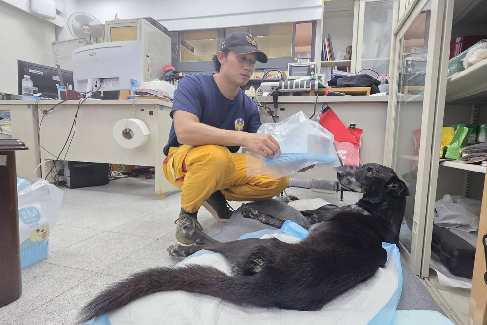 【台灣護國犬2-2】透露最好及最難訓練的搜救犬種　領犬員：從小帶到大會偏心給多點零食 21