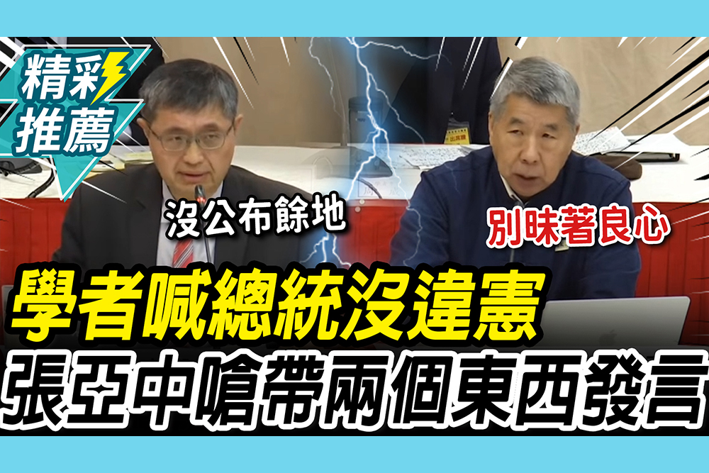 【CNEWS】學者喊沒副署「總統沒違憲」！張亞中嗆：帶著兩個重要東西來發言