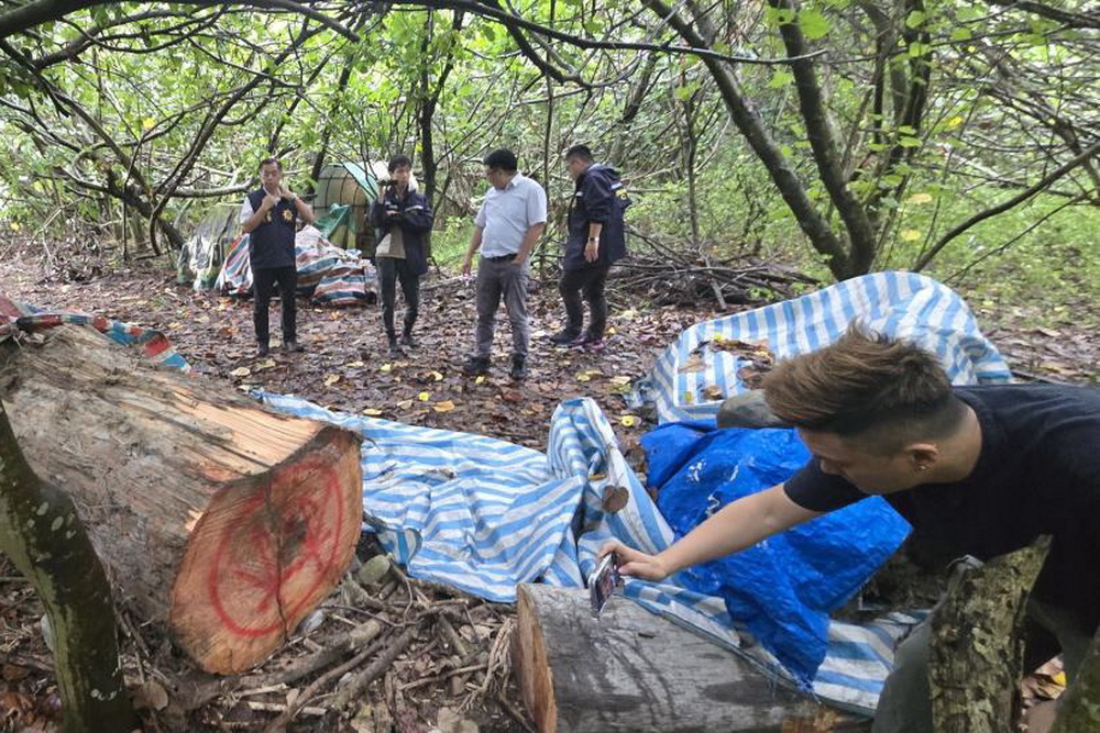 假借河川地種植西瓜侵占國有林木　宜檢起訴蘭陽溪山老鼠集團 27