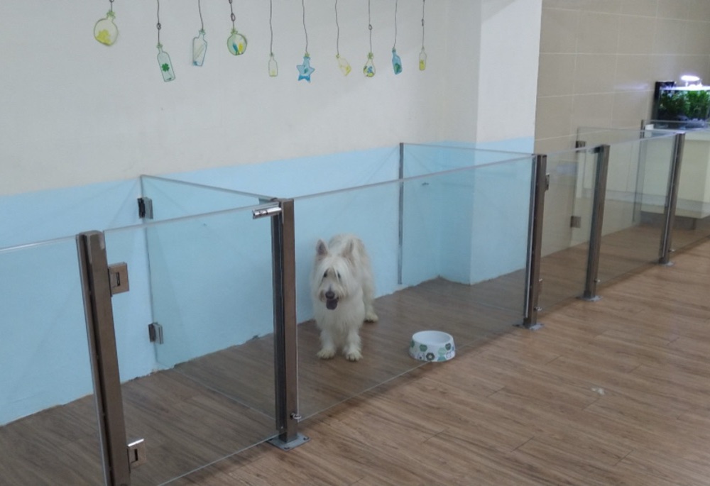 籠具空間不足限制犬隻伸展 新北動保處開罰4萬要求限期改善 8 248260123a02