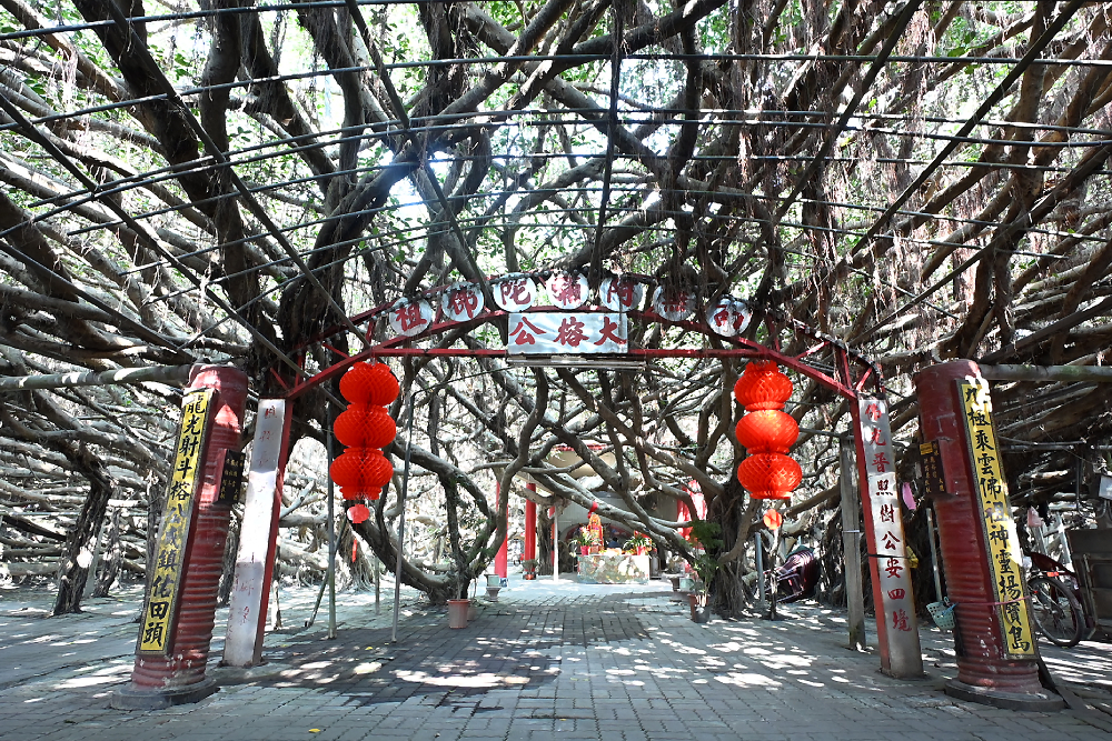 王惠美推竹塘九龍大榕公轉型觀光園區　感謝謝典林預算支持 19