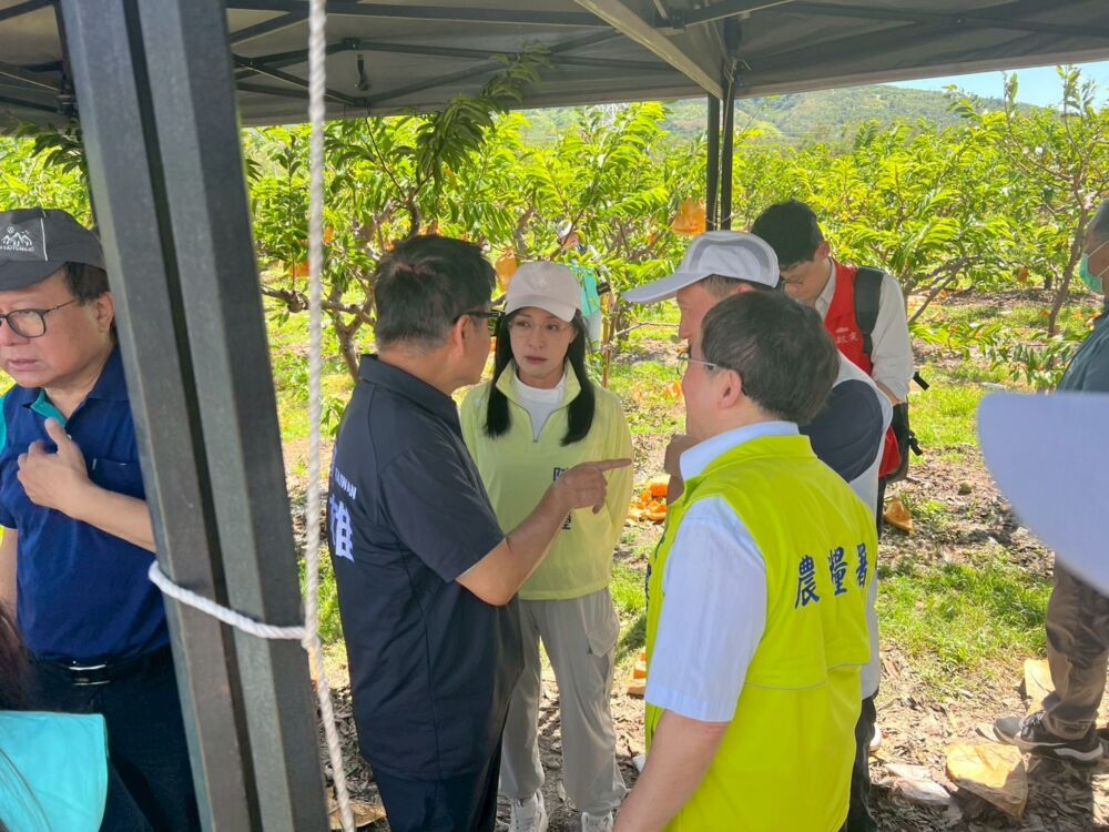台東鳳梨釋迦海外拓銷措施啟動　陳瑩、莊瑞雄要求農業部「盯緊」產地價格 25