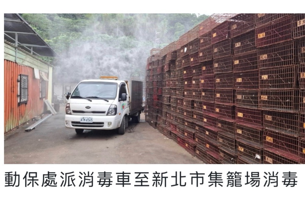 禽流感威脅升溫 新北動保處加強查核嚴防病毒跨境入侵 禽流感威脅升溫 新北動保處加強查核嚴防病毒跨境入侵