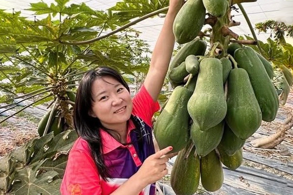 民眾黨彰化縣推2新世代拚議員席次　蘇智弦全縣候選人最年輕