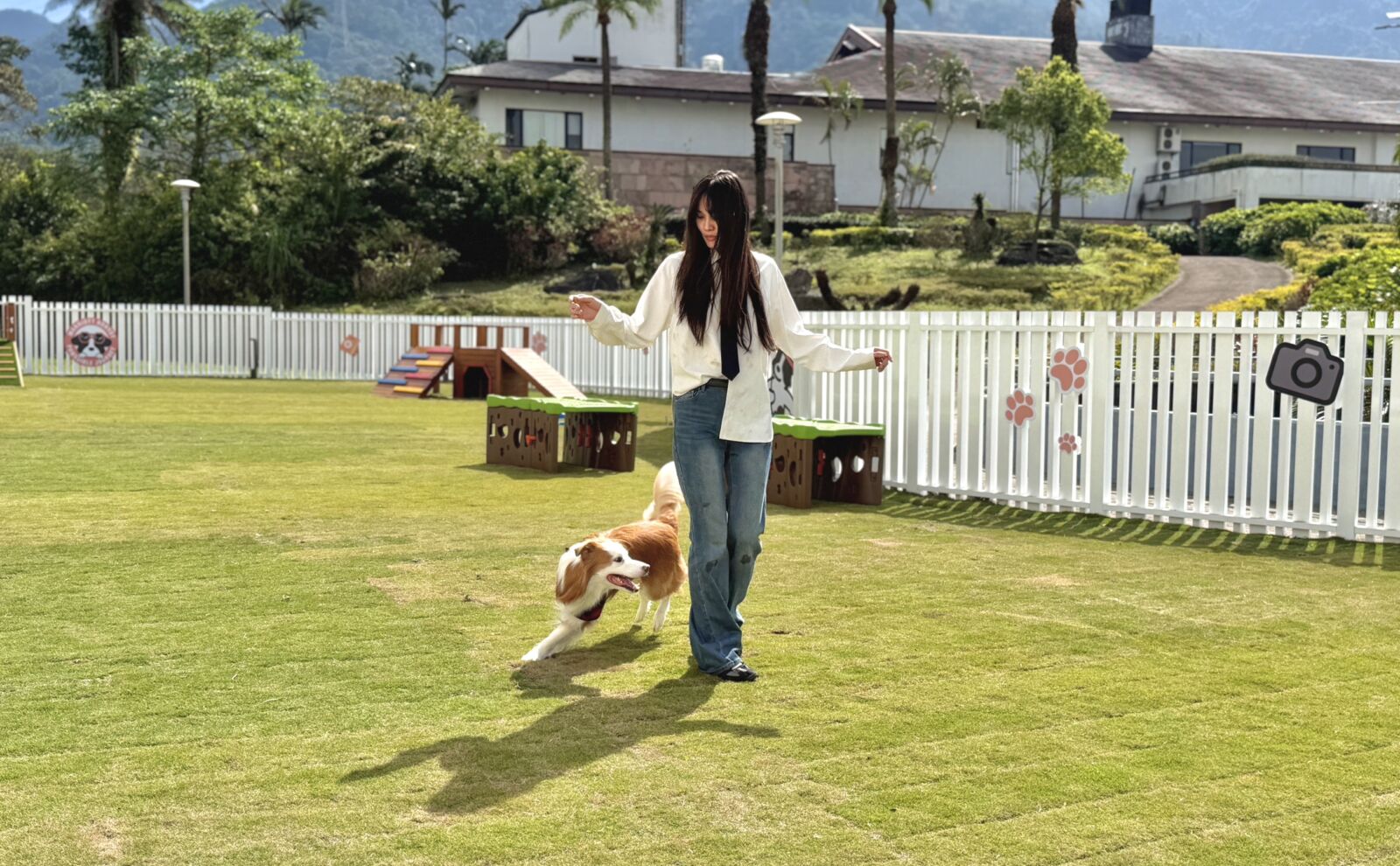 【有影】大溪笠復威斯汀打造萌寵度假天堂　北部飯店首座「毛孩樂園」開幕