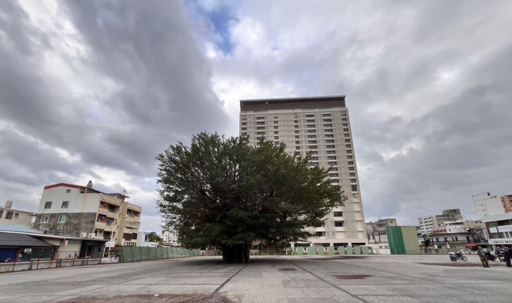 因應春節返鄉潮　花蓮縣府協調「這場地」全時段免費臨停 11