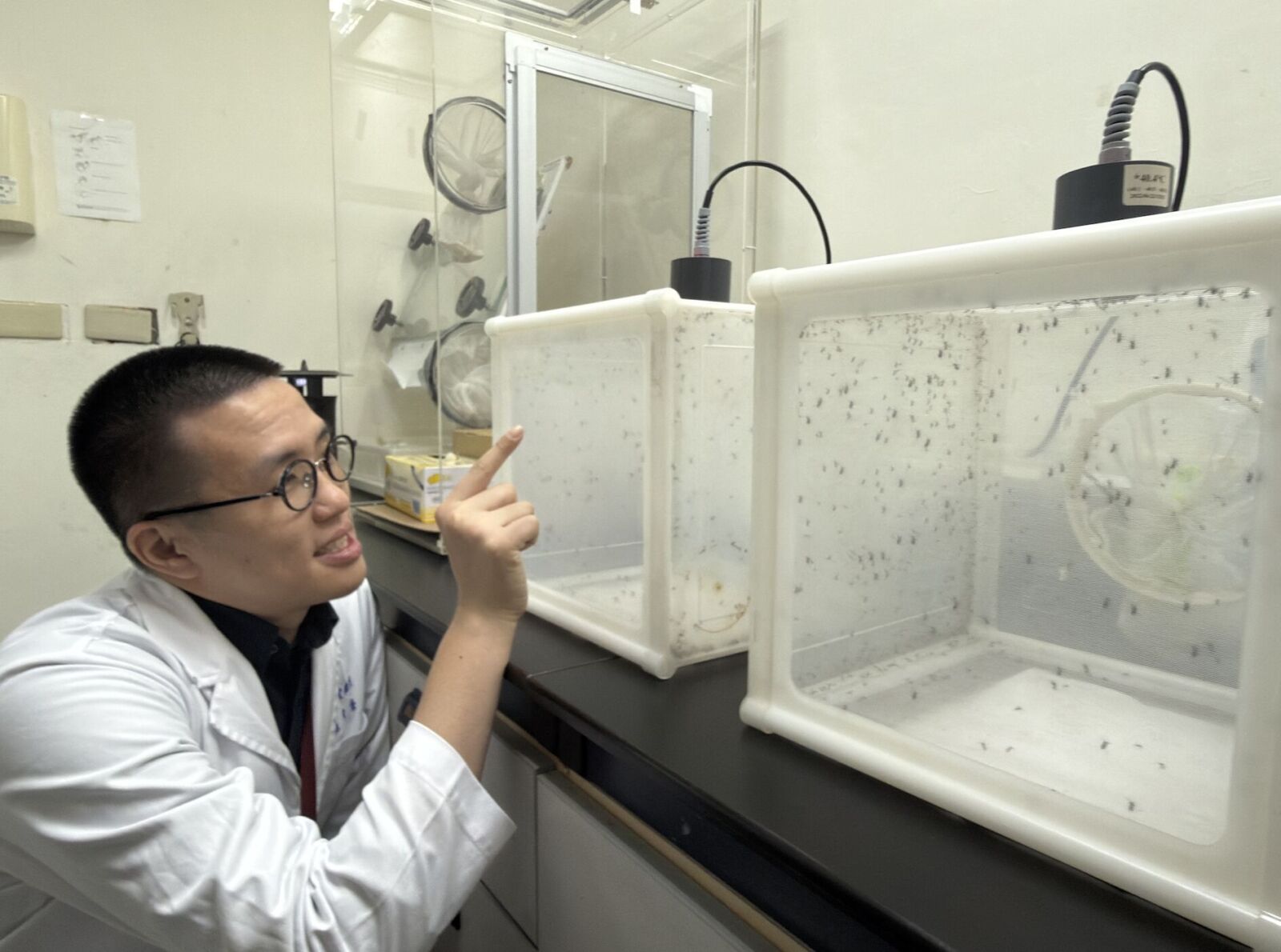 砸百萬「養蚊子」！疾管署神秘實驗室曝光 專人呵護2萬隻活蚊 5