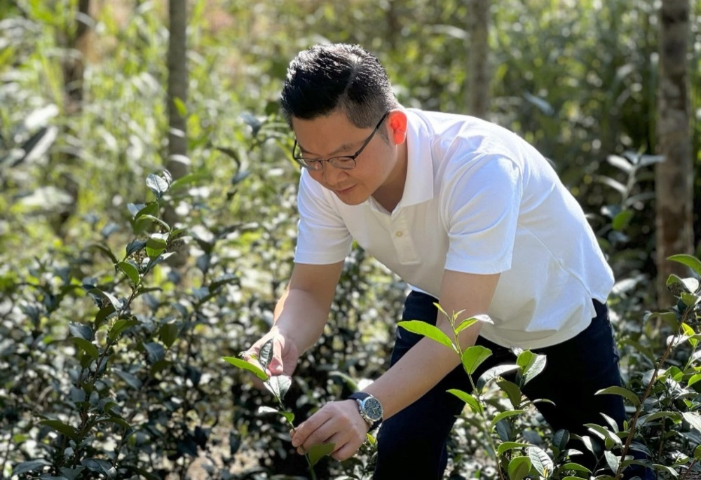 黃心華春季登山養生　推薦新北石碇坪林步道力薦優質農產