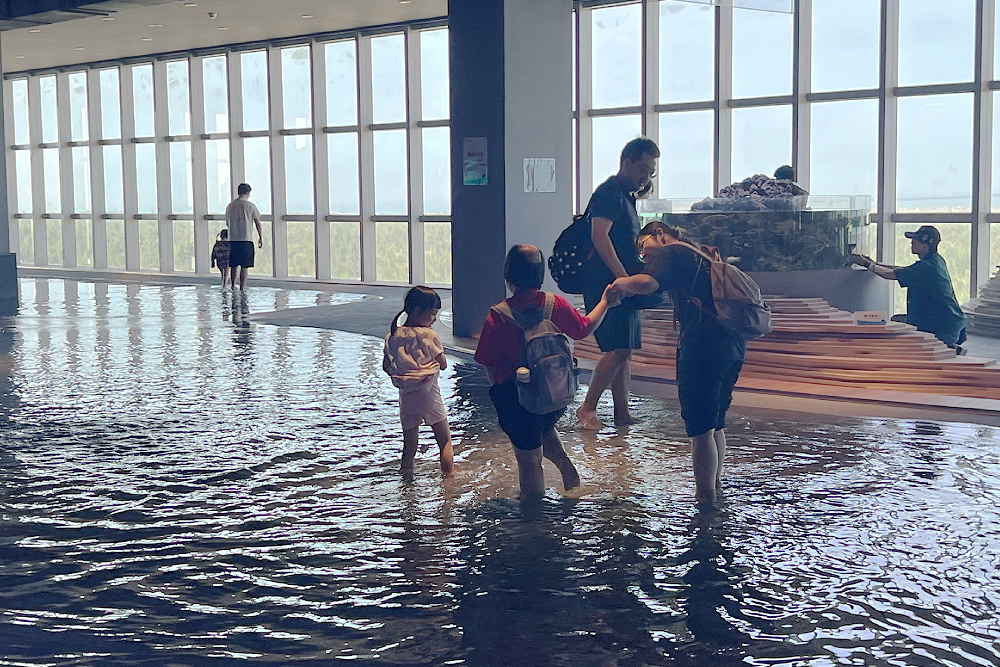 台中海線「一生必遊」　陳廷秀推薦這樣玩最接地氣 7