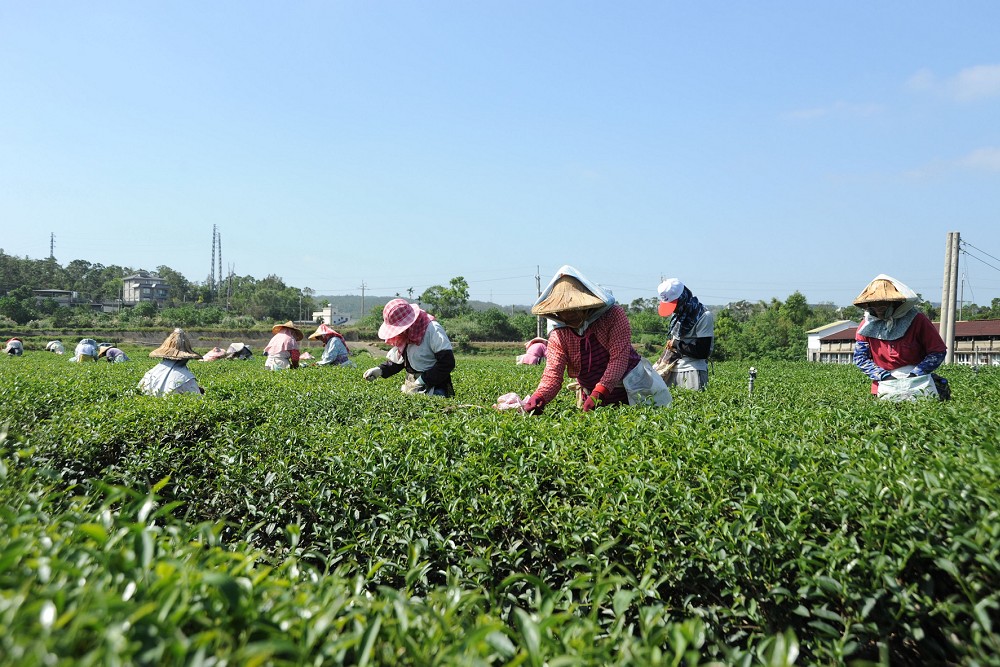 憂台美關稅協議衝擊農工、食安　鍾東錦籲中央勿讓地方政府獨收爛攤 27