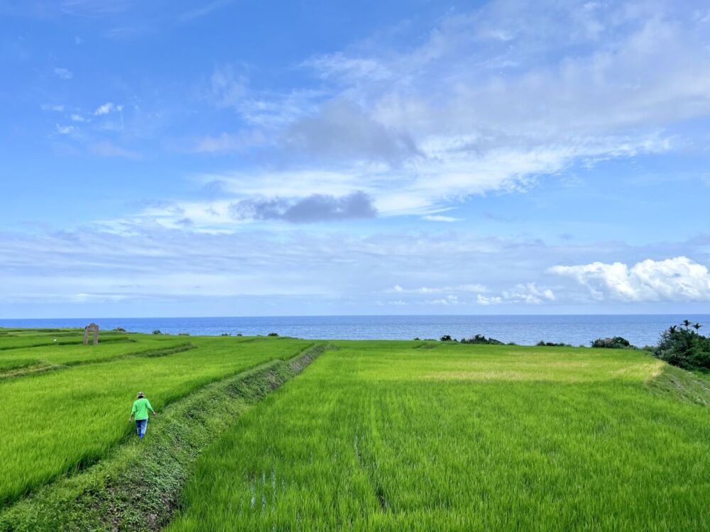 花蓮縣府攜手觀光業推轉型　余明勳邀民眾春節重返「療癒之鄉」 23