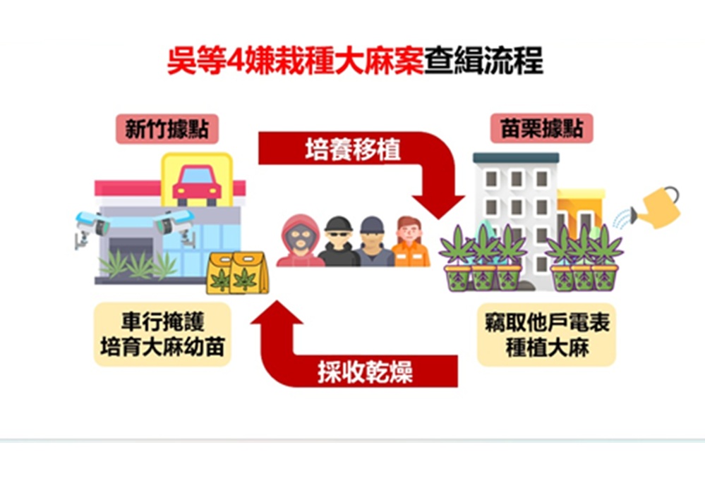 查獲870株大麻 警攻堅透天厝瓦解一條龍植栽場 13 cnews204260226a01