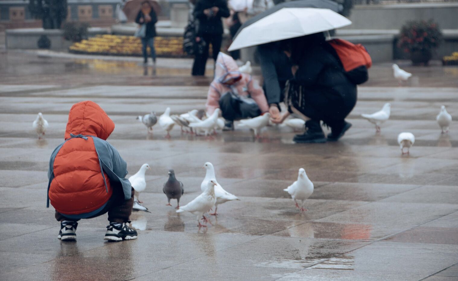 今日「驚蟄」溼答答 身體易發三狀況！中醫一一拆彈 3