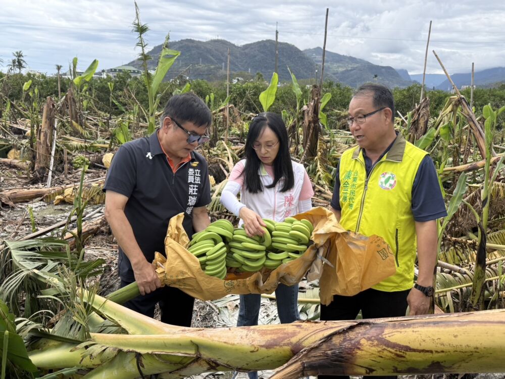 成功爭取台東國有耕地年租金減收7成　陳瑩、莊瑞雄：陪伴農友渡難關 11