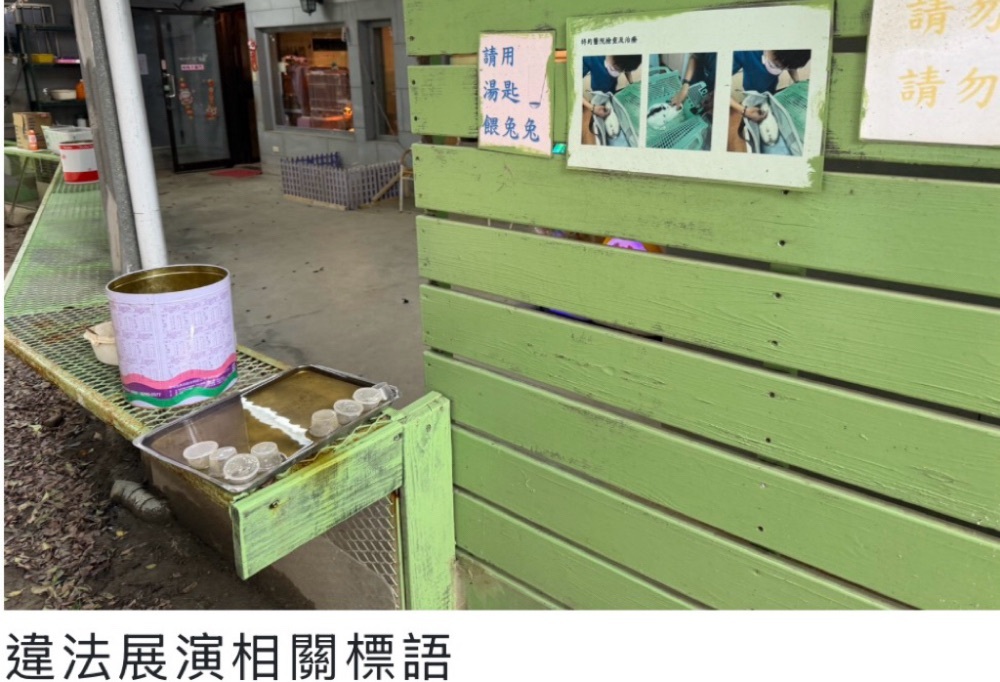 八里餐廳非法展演致大量兔隻死亡 新北動保處:最重可罰200萬 12 248260309a07