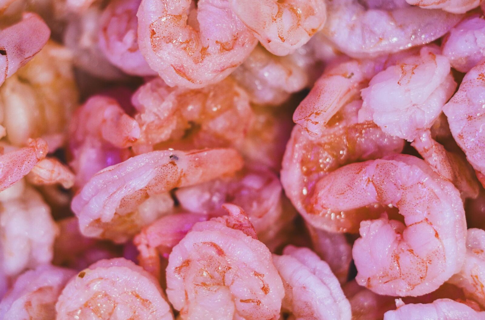 熟男大吃蝦搔癢、頭暈 不是過敏！「一毒素」飆揪出腎損傷 3