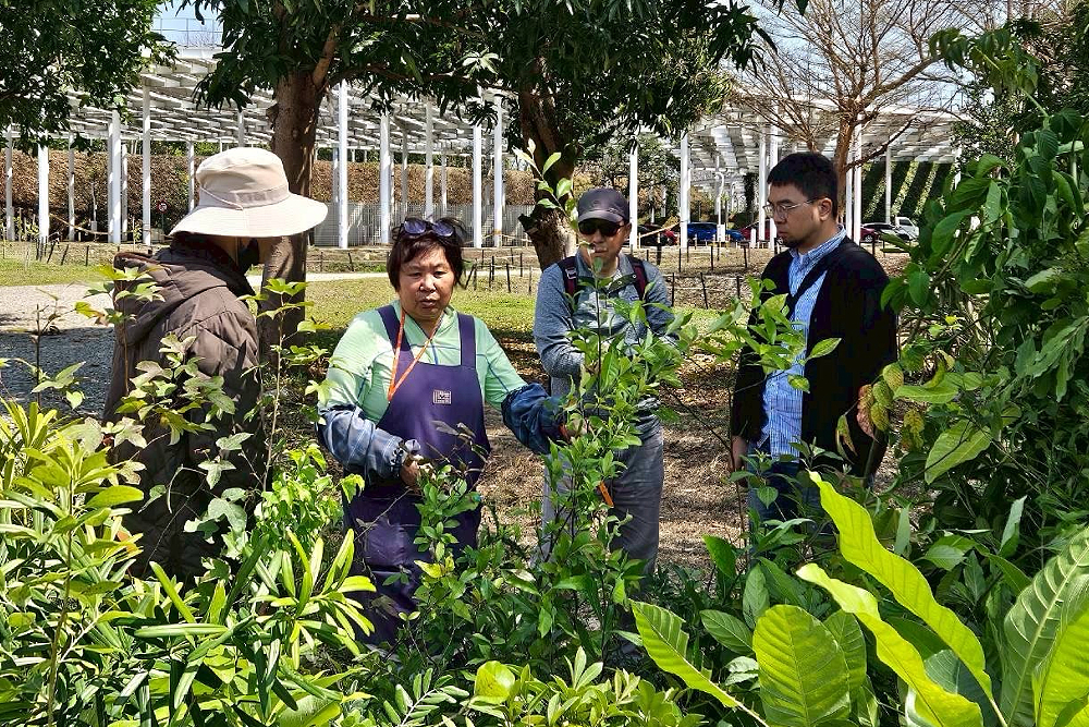 中央公園啟動原生植物培育行動　台中建設局攜手科博館打造都市原生種苗庫 19