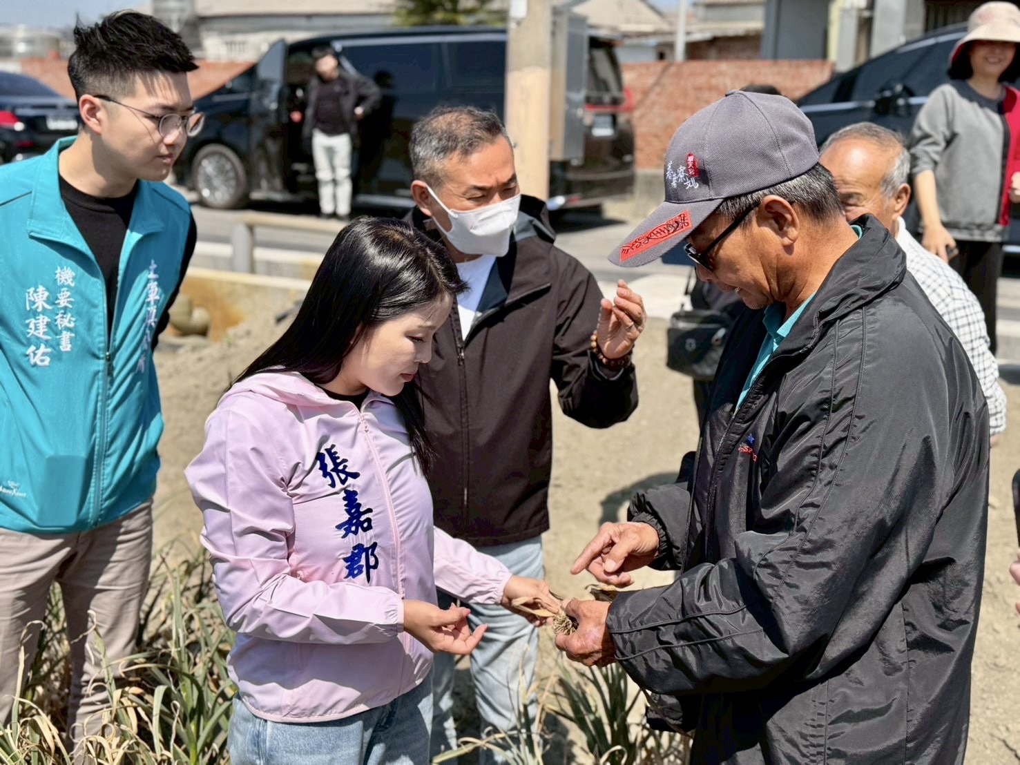 蒜頭結球瘦小、產量暴跌　張嘉郡促農業部啟動「保價收購」救蒜農 3
