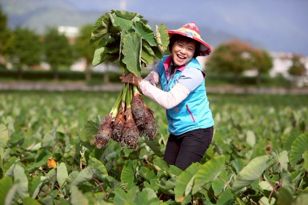 游淑貞提「觀光雙核心」發展戰略　打造亞洲最療癒山海城市 3