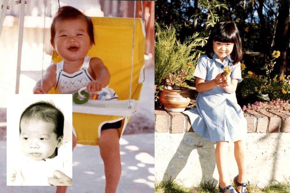 照片來源：王鴻薇國會辦公室、凡妮莎