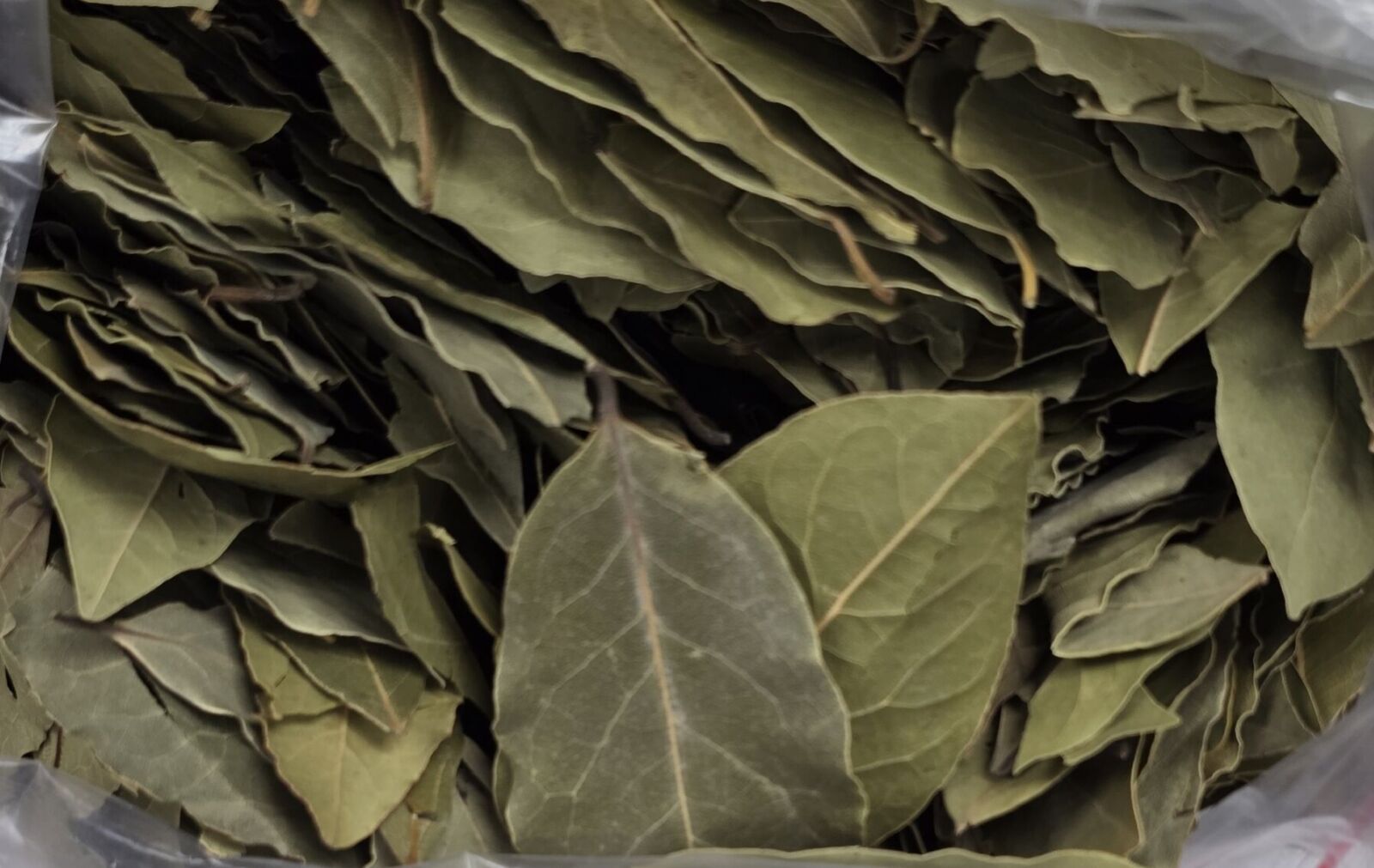 小磨坊進口「月桂葉」爆3農藥超標！ 美國凱撒沙拉醬殘致癌農藥 9