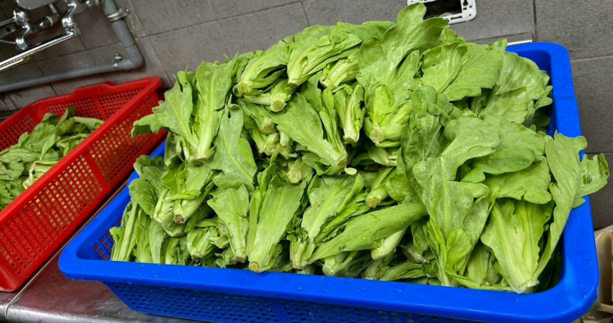 北市生鮮蔬果25％農藥超標！「火鍋神物」不合格最多　三媽、大全聯都上榜