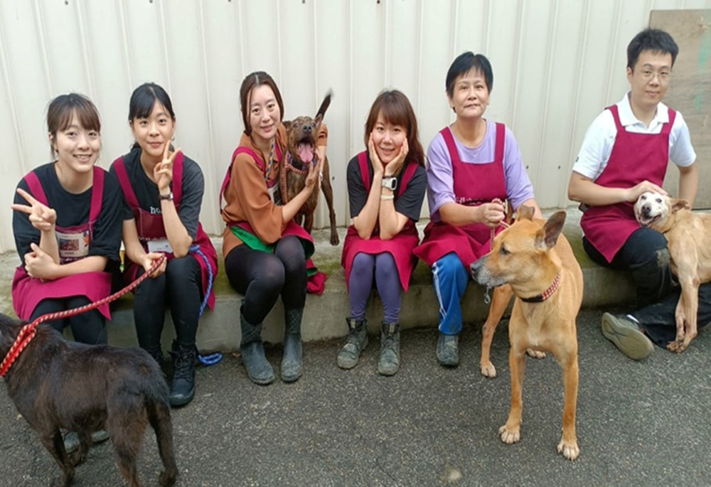 陪伴毛寶貝走出恐懼　新北90名志工青年節走進動物之家