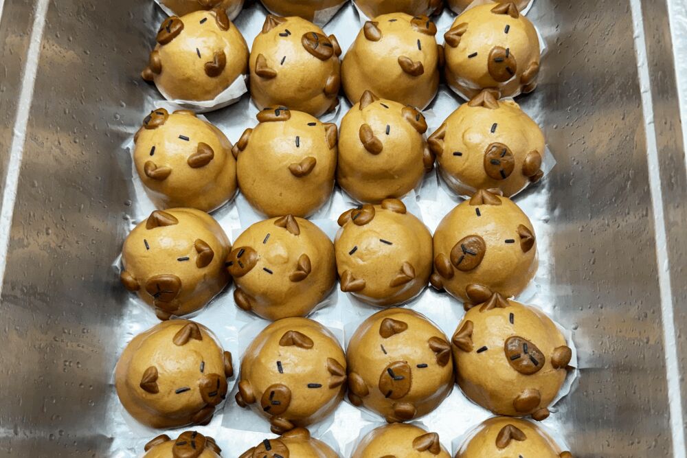 高虹安兌現「一日小市長」提案　卡皮巴拉造型包子新竹學童超嗨