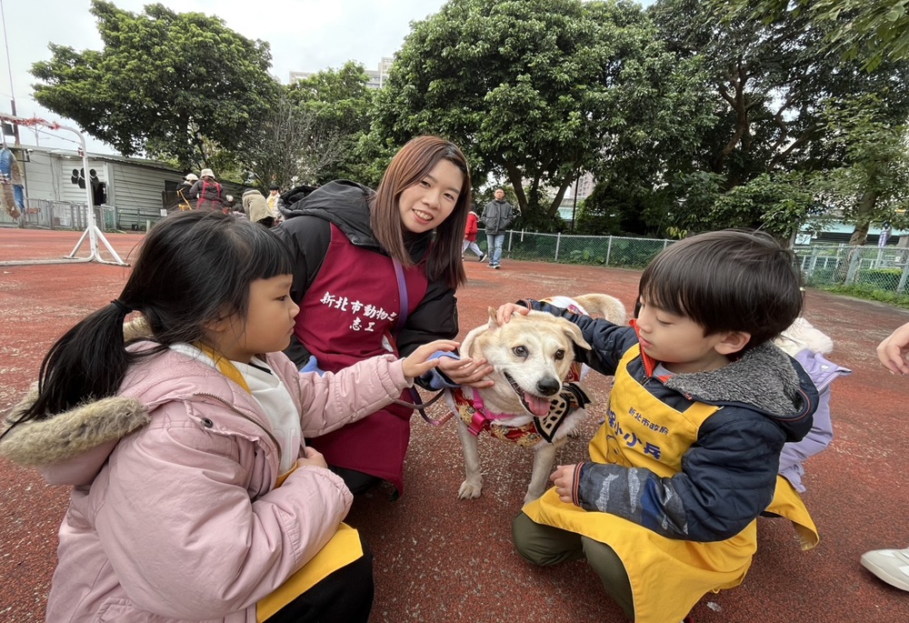生命教育從小扎根　新北動保處推「動保小小兵」
