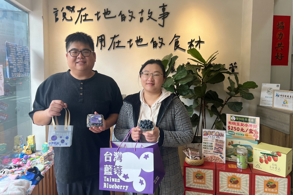 【有影】【17億「藍」海經濟3-2】大湖草莓、後龍藍莓　縣府打造「豐味苗栗」搶攻市場 59