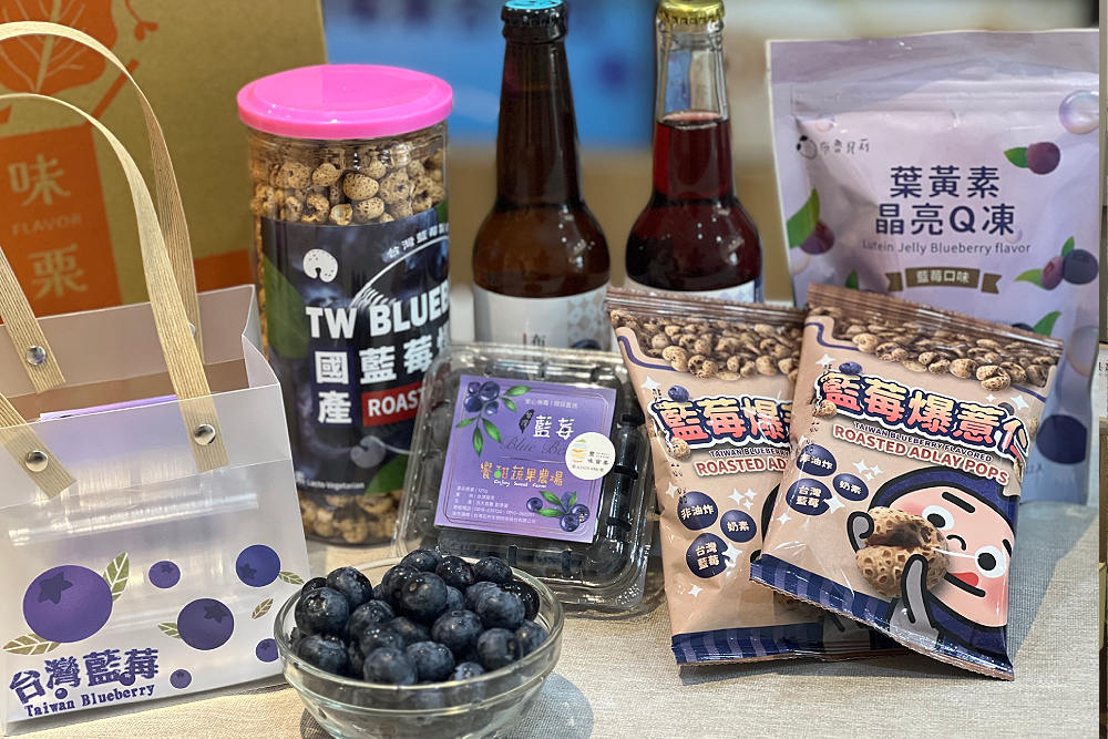 【有影】【17億「藍」海經濟3-2】大湖草莓、後龍藍莓　縣府打造「豐味苗栗」搶攻市場 61