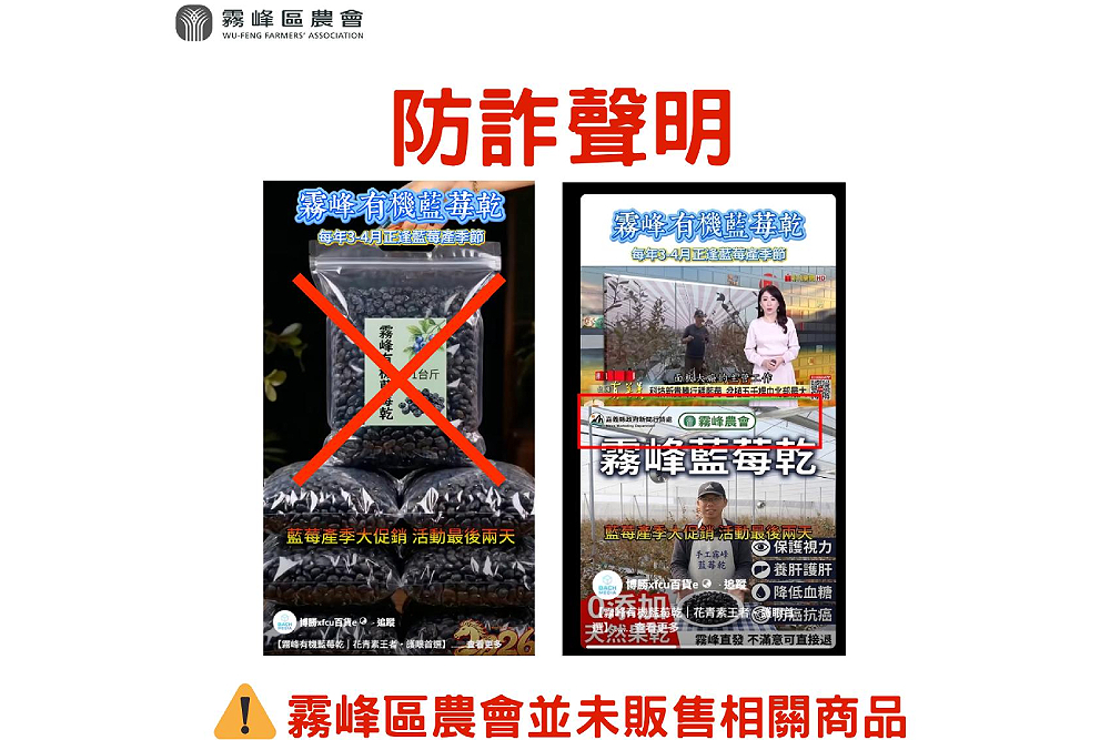 【有影】【17億「藍」海經濟3-3】農業AI詐騙、品種落後　國產藍莓農友盼中央協助 53