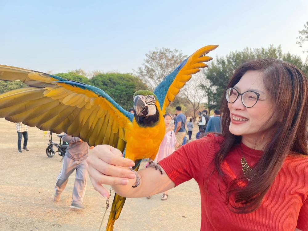 【彭心彤專欄】為何努力工作也存不到錢？家族排列揭示財富的隱形流量