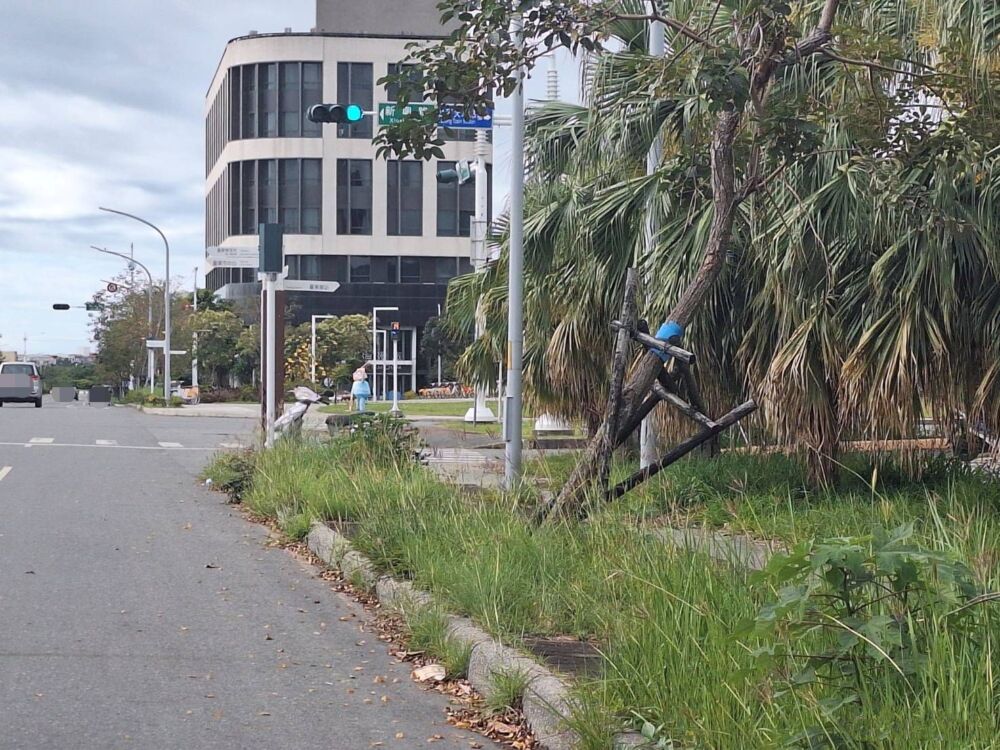 空地雜草叢生超過60公分將開罰　台東縣府籲地主善盡管理